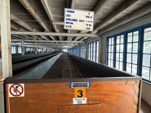 Blue Field Tea Factory-拉马伯达必去景点