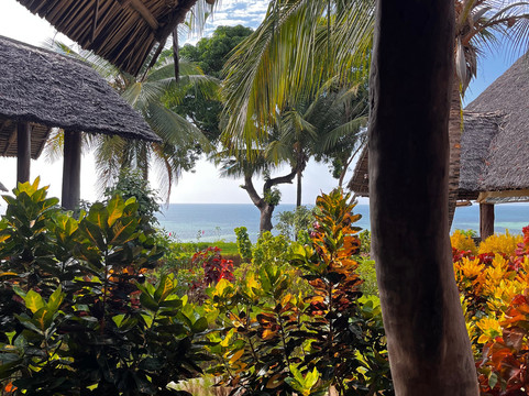 Mafia Island Diving-马菲亚岛必去景点