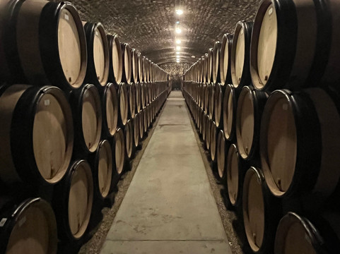 Caveau Moillard-夜圣乔治必去景点