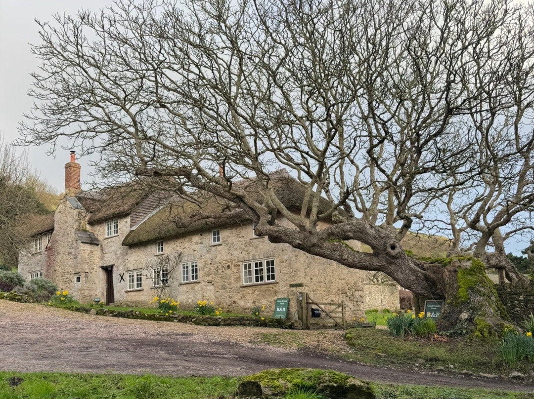 Great Seaside B & B主图