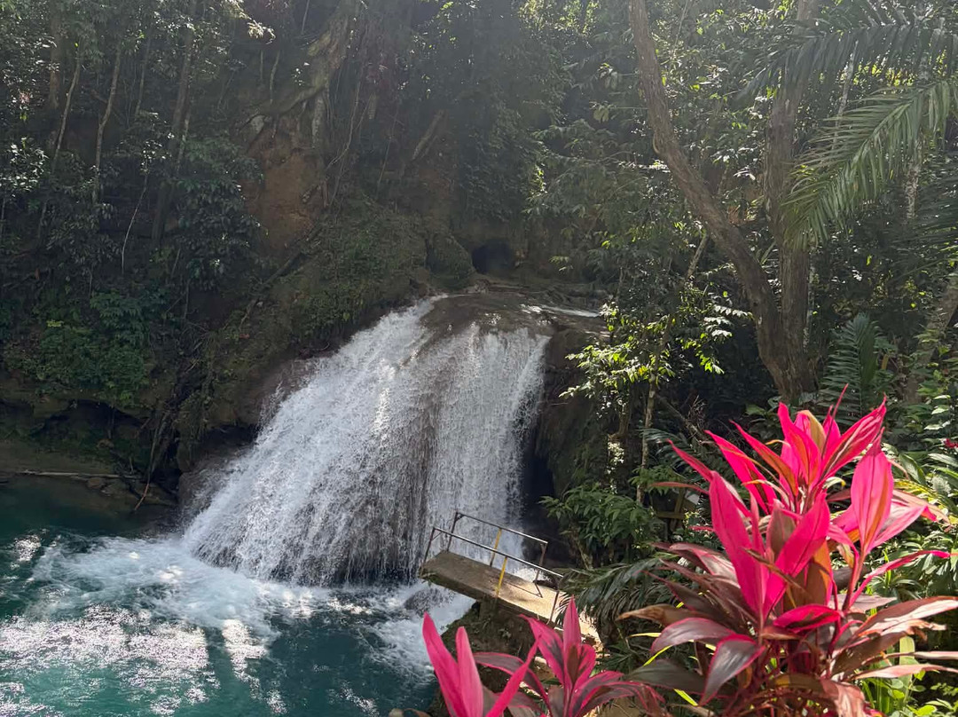 Island Vibes Adventure Tours-蒙特戈贝必去景点