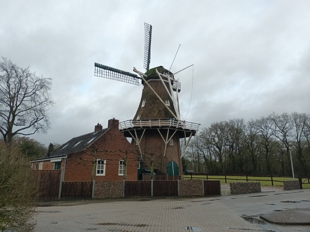 Korenmolen Noordenveld-Norg必去景点