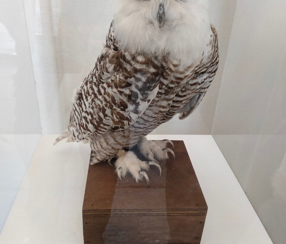 Museo di Scienze Naturali "E. Caffi"-贝加莫必去景点