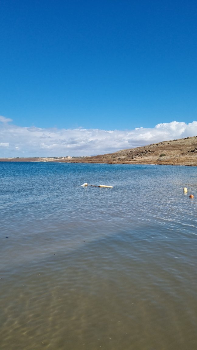 希尔顿死海水疗度假村-官方