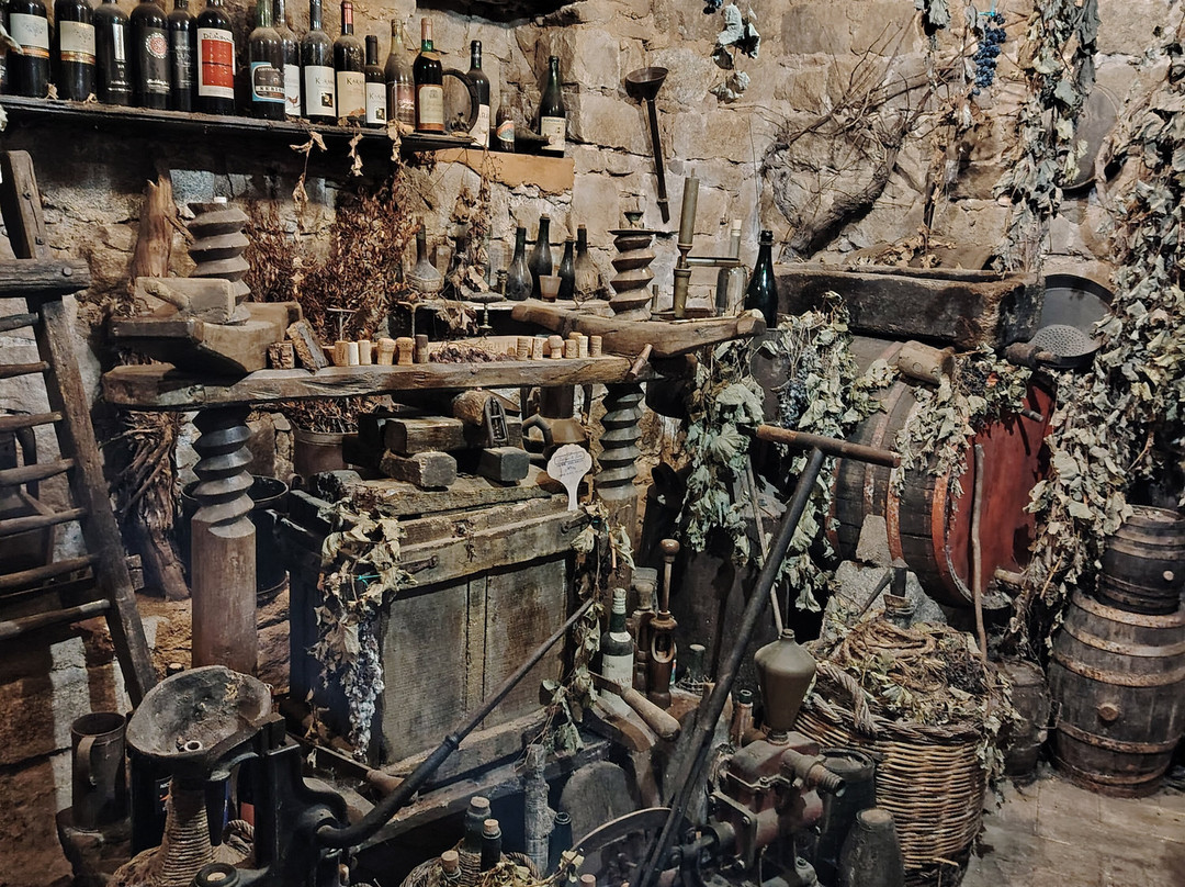 Museo Etnografico Galluras "La casa della Femina Agabbadora"-Luras必去景点