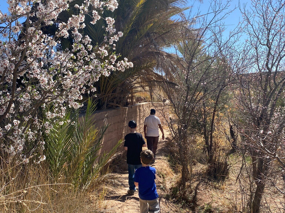 达特多尔古堡住宿加早餐旅馆主图