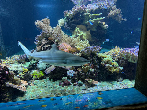 Tropikariet-赫尔辛堡必去景点