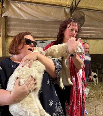 Cress Creeks Farm And Corn Maze-Ellijay必去景点