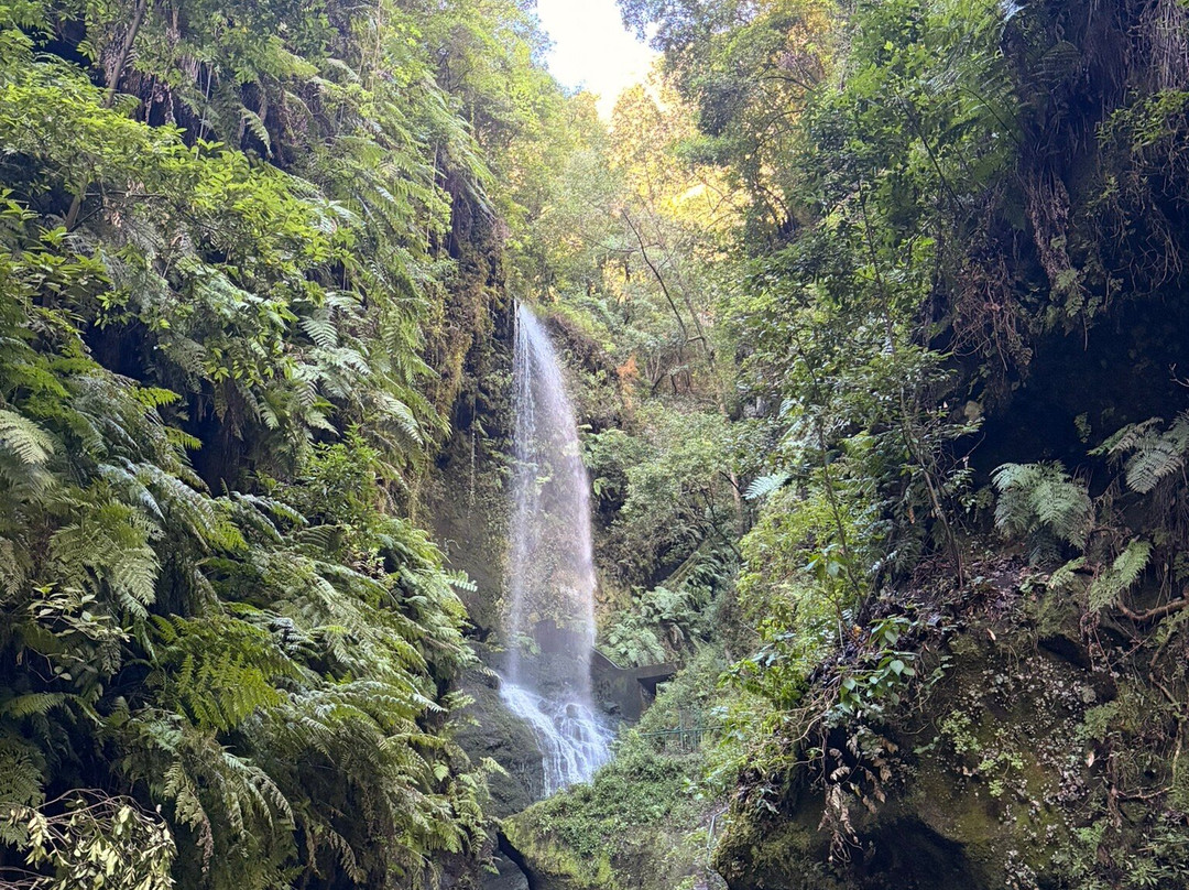 Cascada De los Tilos-San Andres y Sauces必去景点