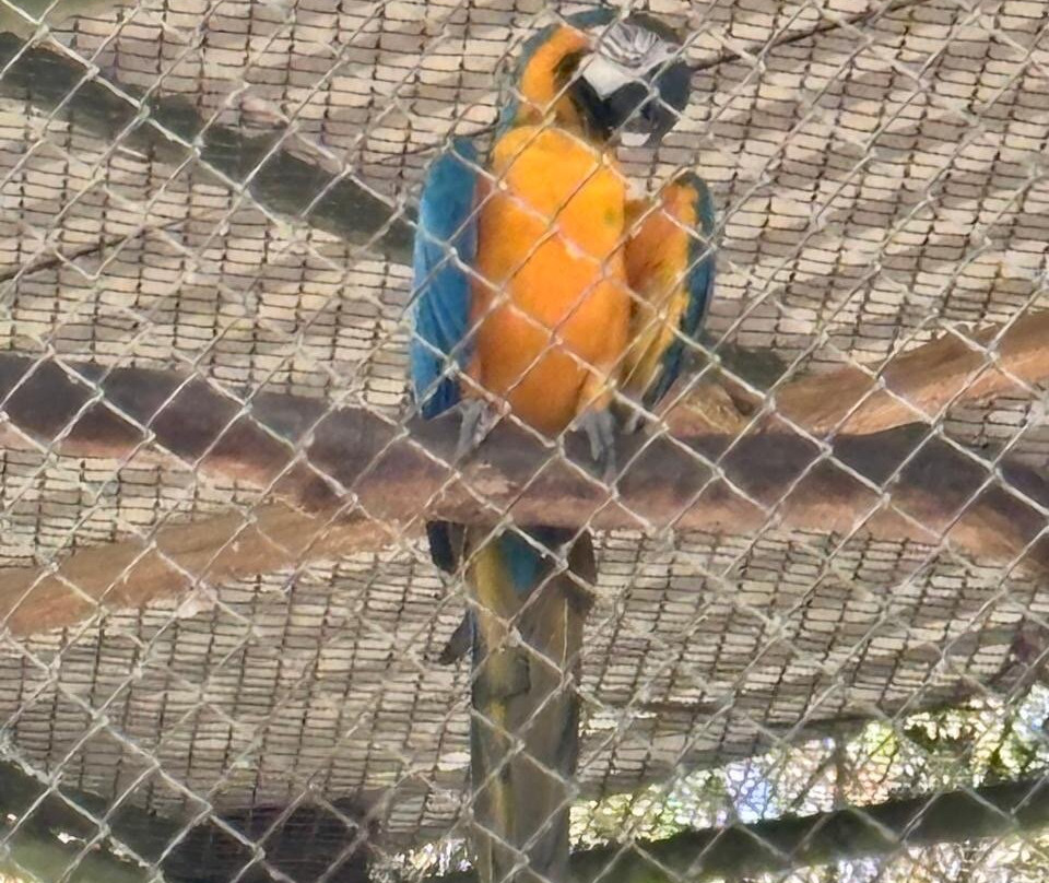 Natuwa Wildlife Santuary-彭塔雷纳斯必去景点