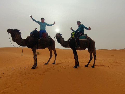 Desert Morocco Tours-卡萨布兰卡必去景点