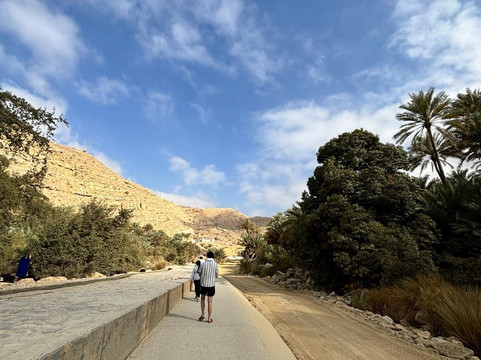 Muscat Nature Tours - Day Tours-马斯喀特必去景点