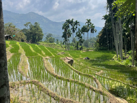 Magical Paradise-Kandana必去景点