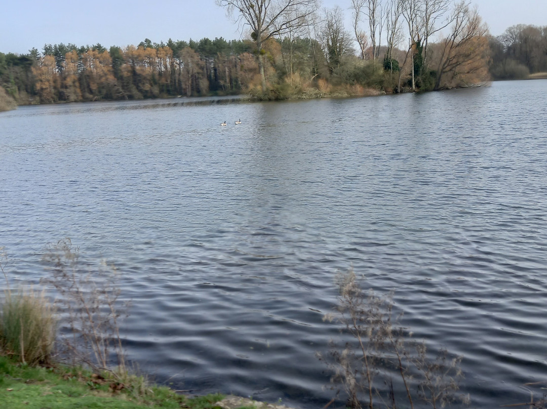 Frampton Court Estate-Frampton on Severn必去景点