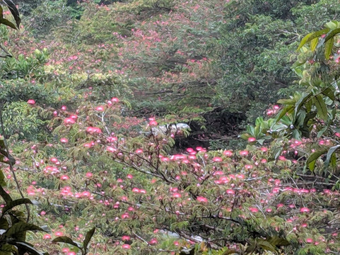 Esmeralda Ecotours San Rafael-San Rafael必去景点