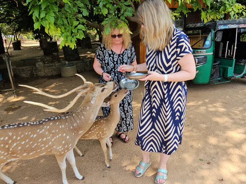 LK Travels & Tours SRI LANKA-卡尔库达必去景点