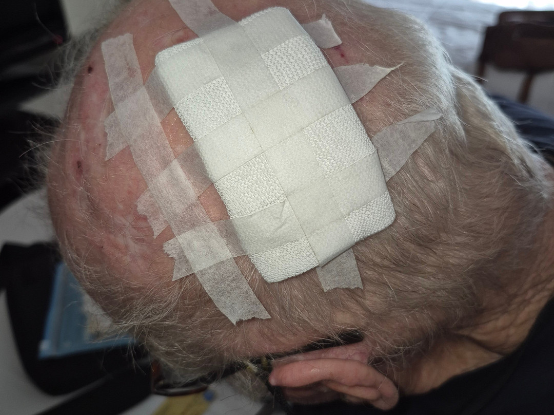 燕子酒店 - 限成人主图