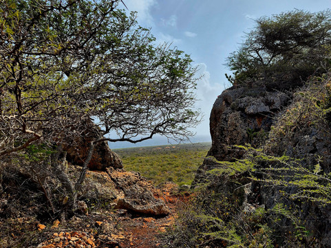 丹尼尔庄园酒店主图