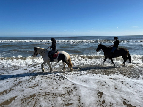 Shrule Equestrian Centre-Gorey必去景点