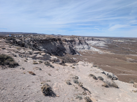 Petrified Forest National Park-霍尔布鲁克必去景点