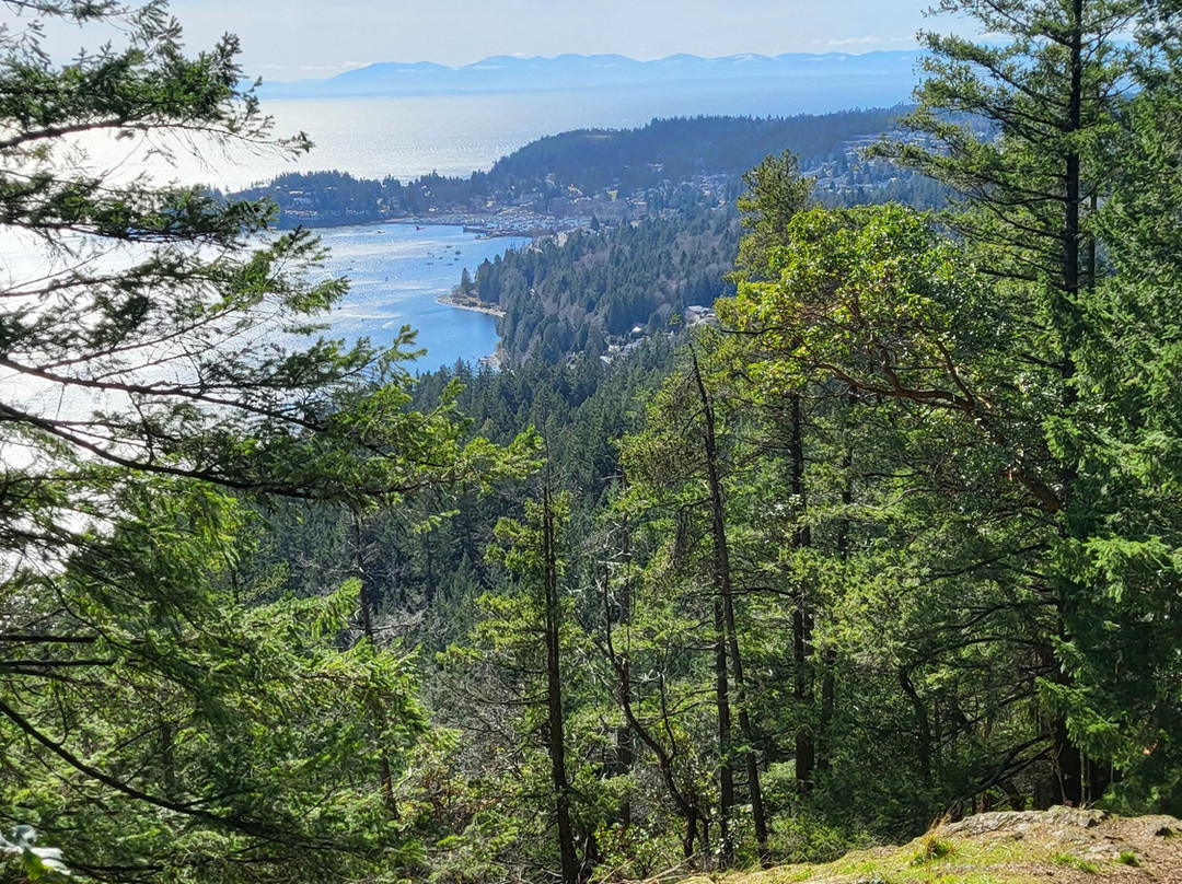 Soames Hill (aka Knob Hill)-吉布森斯必去景点