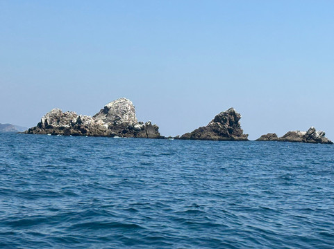 Fishing with Pulpo-瓦图尔科必去景点