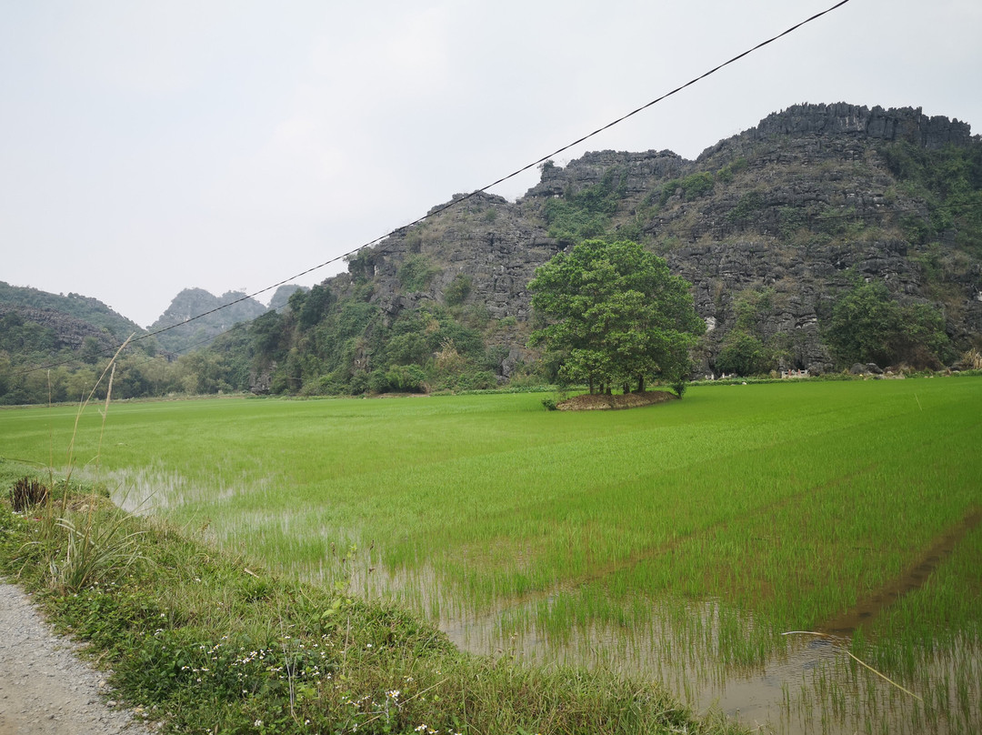 宁平Indochine精品酒店