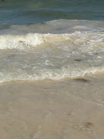 水疗度假酒店-限成人入住-全包式-泳池