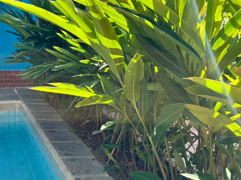 Posada Casa Riqui Riqui主图