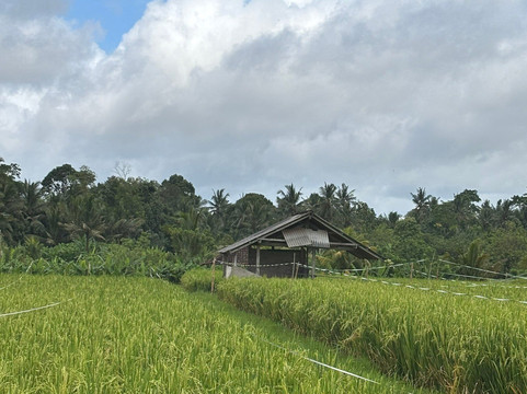 Bali Guia en Espanol-Mas必去景点