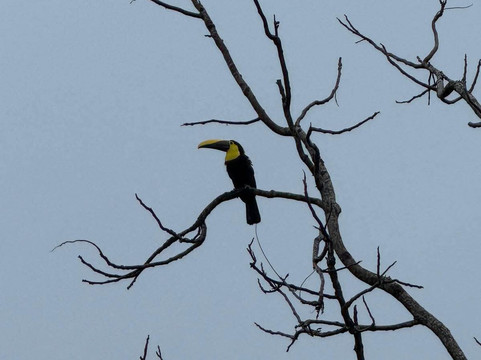 My Costa Rica-圣何塞必去景点