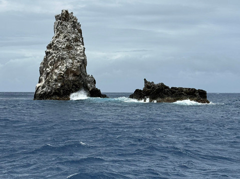 Sea Saba Dive Center-Windwardside必去景点