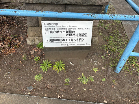 Takayama Inari Shrine-Takanawa必去景点