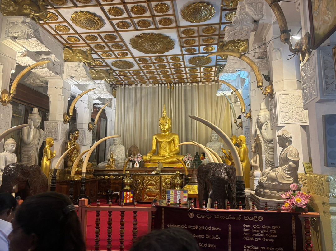 Sri Lanka driver booking & tours plc-Nawalapitiya必去景点