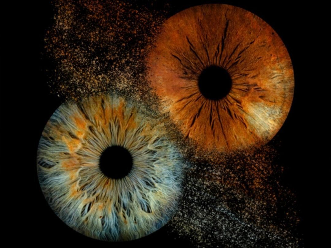 Iris Galerie Mall of the Netherlands-Leidschendam必去景点
