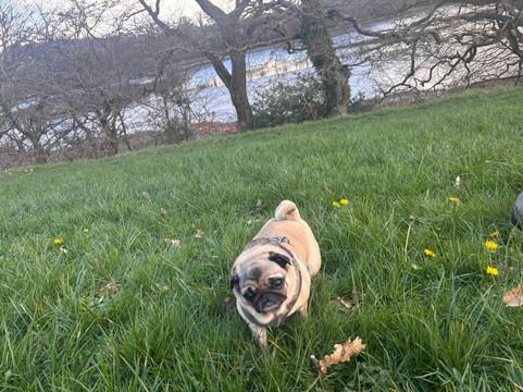 Forage Pembrokeshire-哈弗福韦斯特必去景点