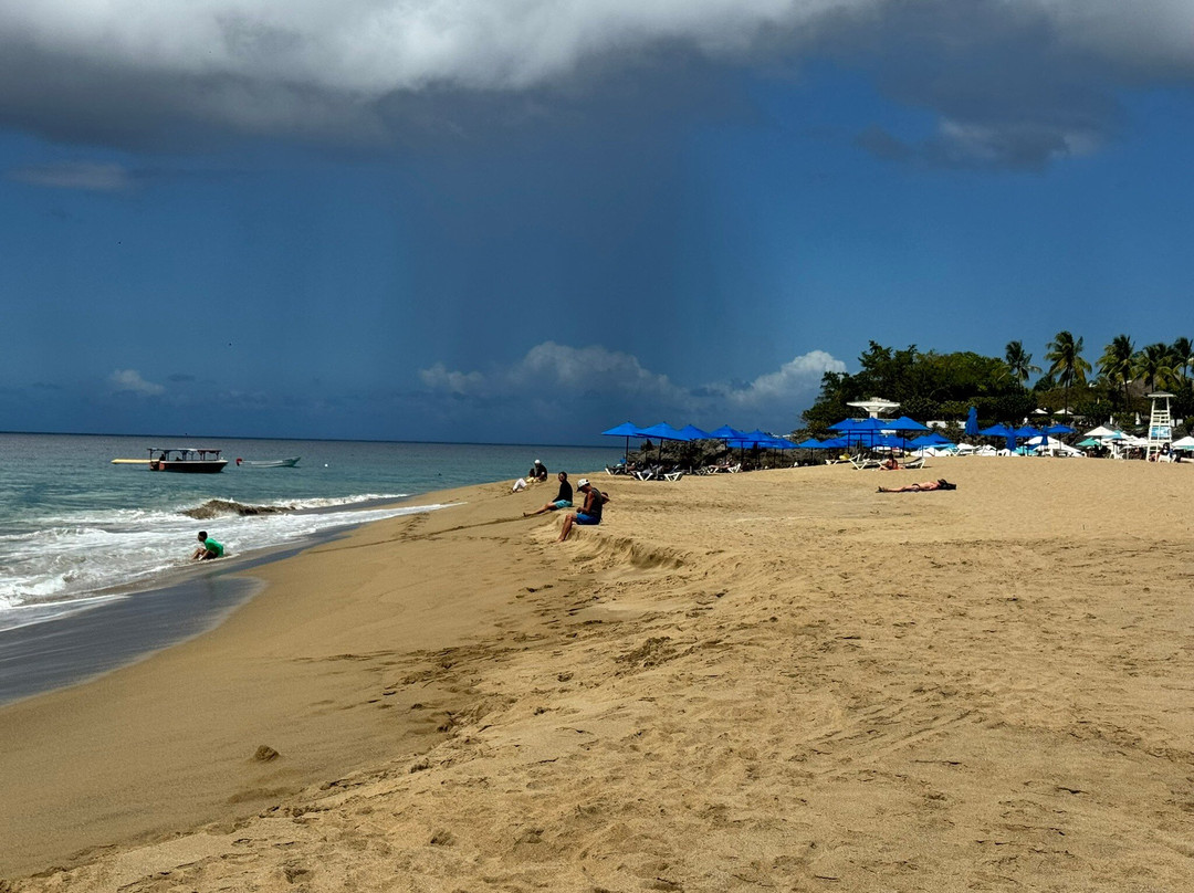 Playa Alicia-苏莎亚必去景点