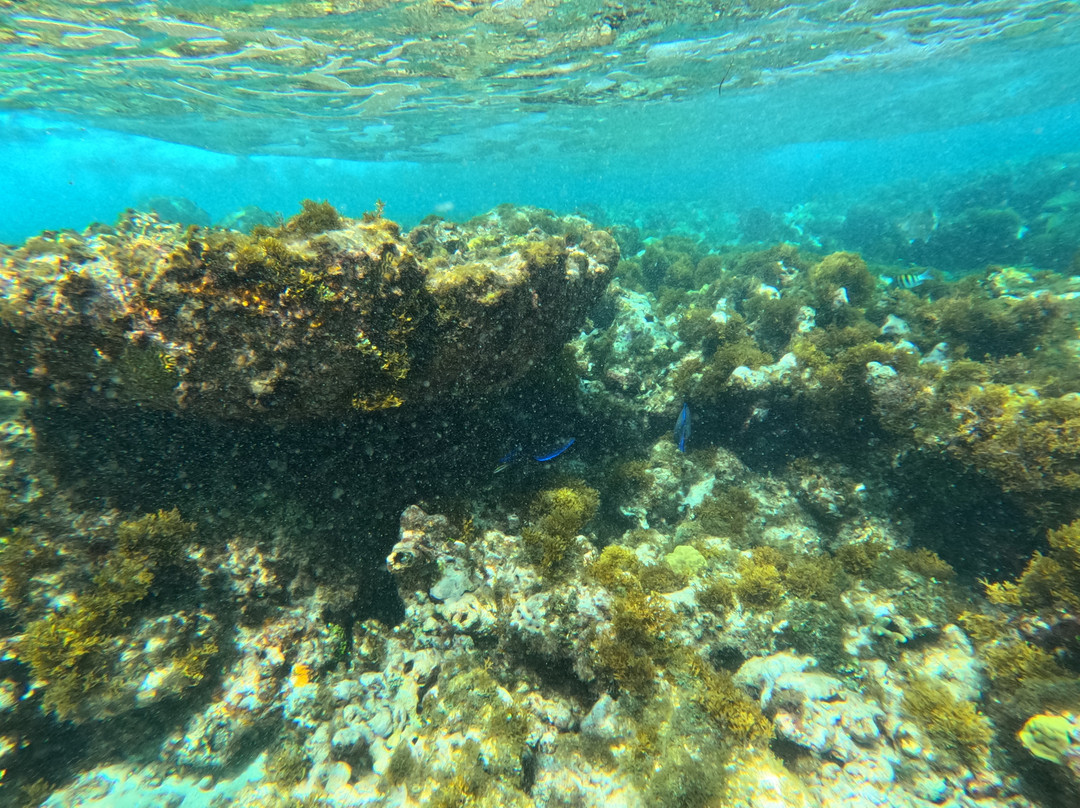 Caribe Extremo-圣安德烈斯必去景点