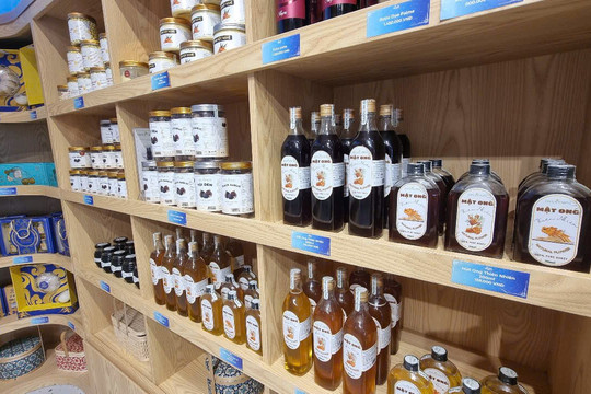 Vigift - Gift & Specialty Shop in Da Nang-Son Tra Peninsula必去景点