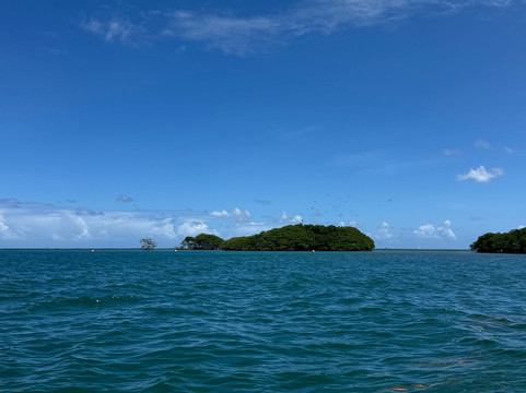 Alizes Adventure-Sainte Rose必去景点