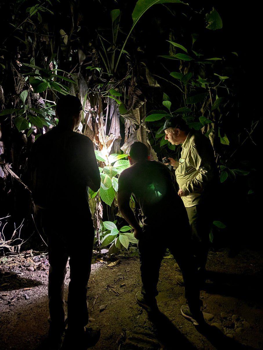 Chilamate Rainforest Eco Retreat-官方