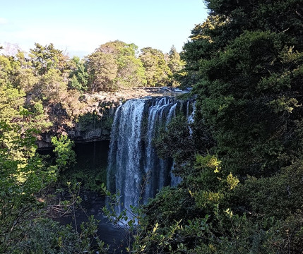 Rainbow Falls-Kerikeri必去景点
