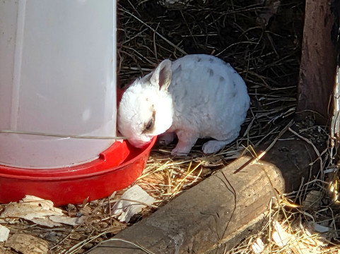 Thrift Farm-Whaddon必去景点