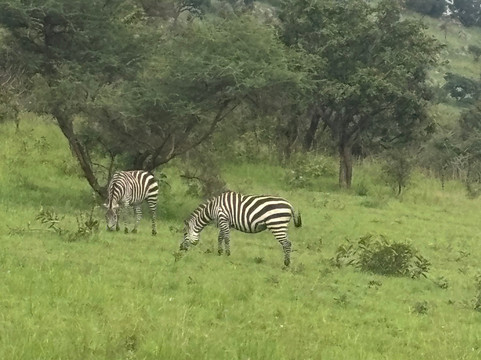 Ikaze Rwanda Tours & Travel-吉佳利必去景点