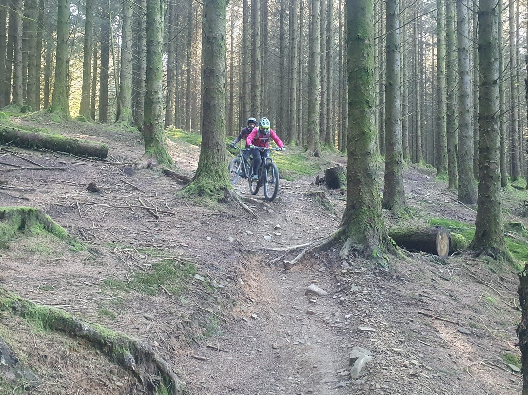Bike Park Wales-梅瑟蒂德菲尔必去景点