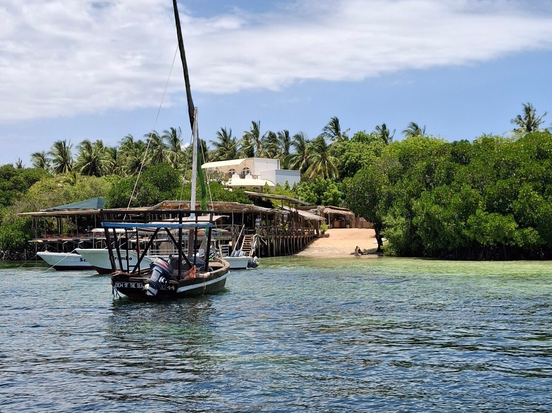 Scopri il Kenya con Nicholas-瓦塔木必去景点