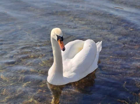 洛赫雷水疗酒店主图