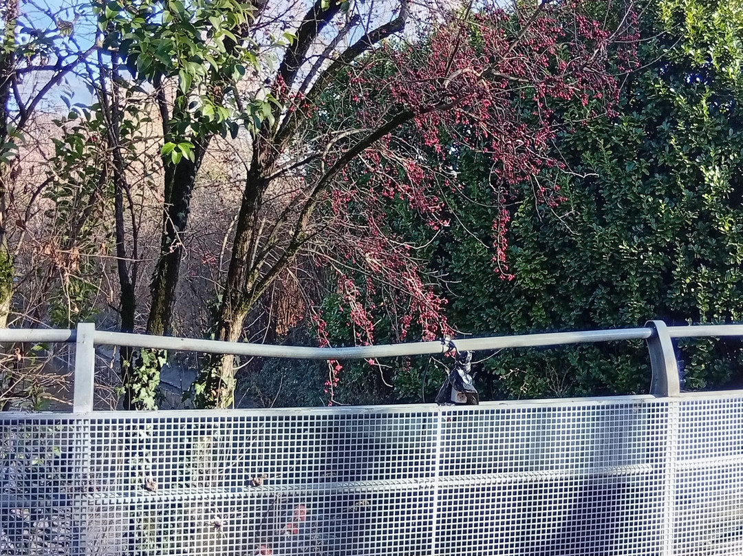 Parc Olimpic del Segre-La Seu d'Urgell必去景点