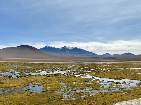 Lagunas Altiplanicas-圣佩德罗-德阿塔卡马必去景点