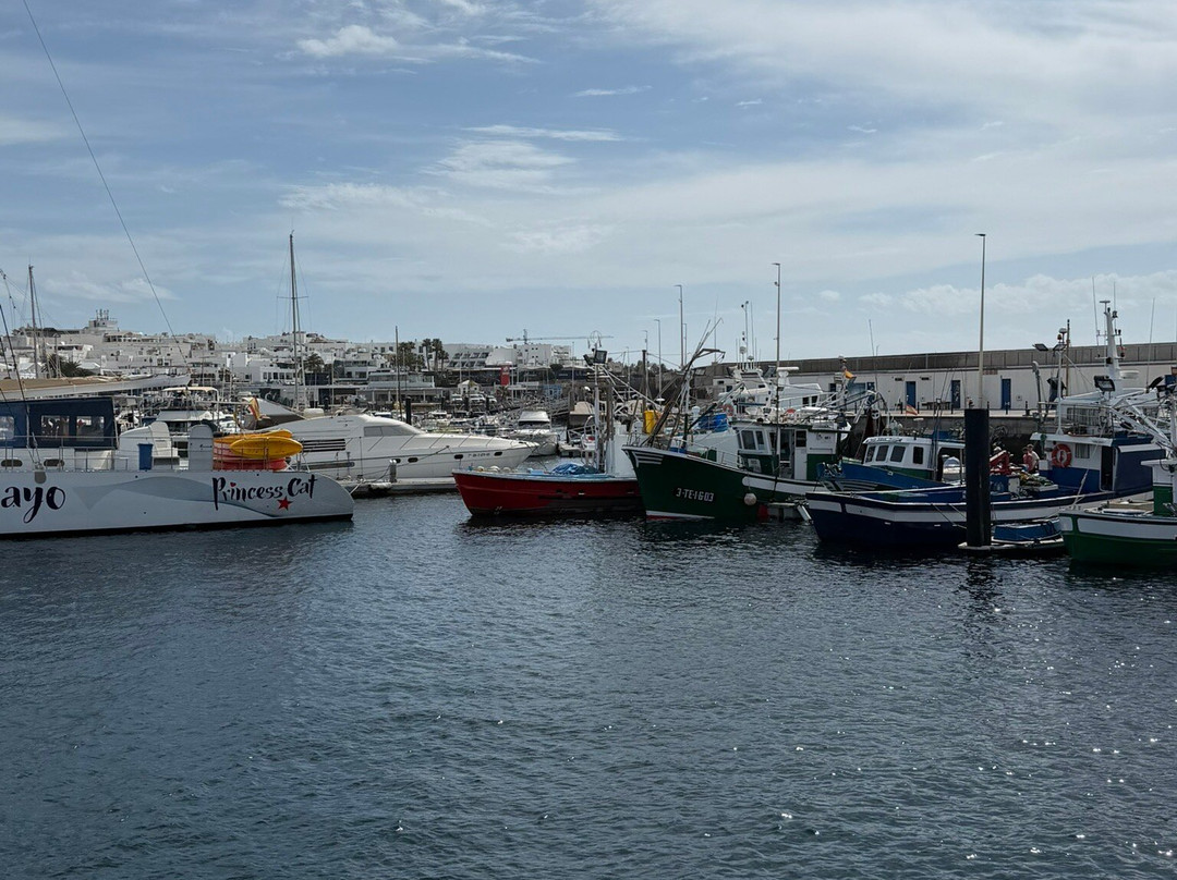 Old Town Harbour-卡门港必去景点